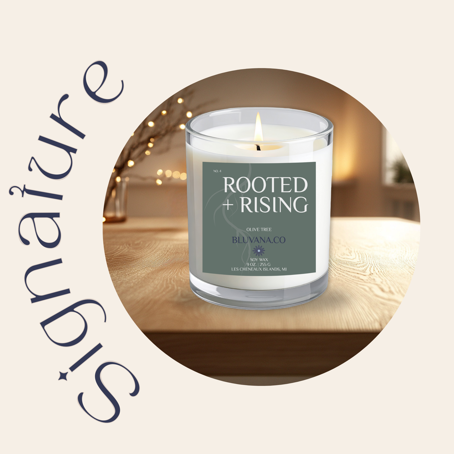 Our Signature Collection