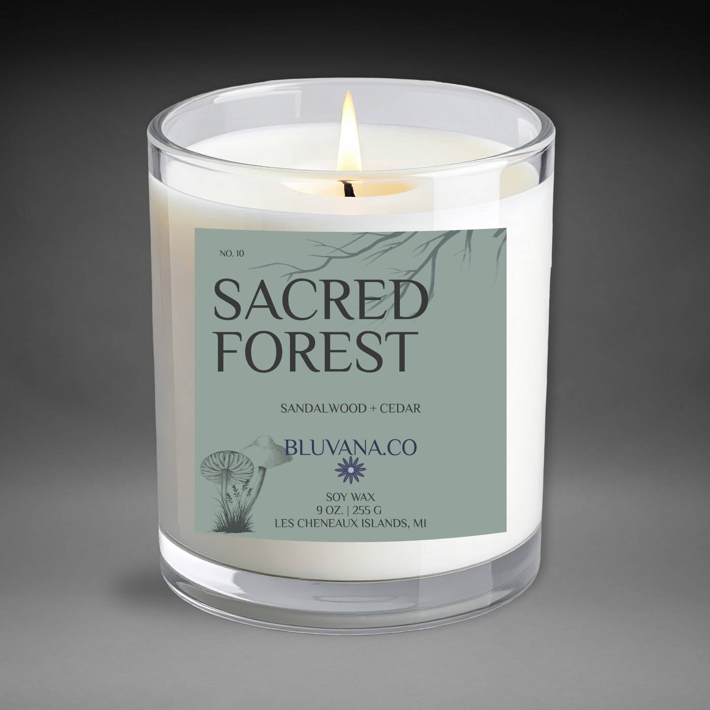 Candle in a glass jar with a label reading 'Sacred Forest' by Bluvana Co.