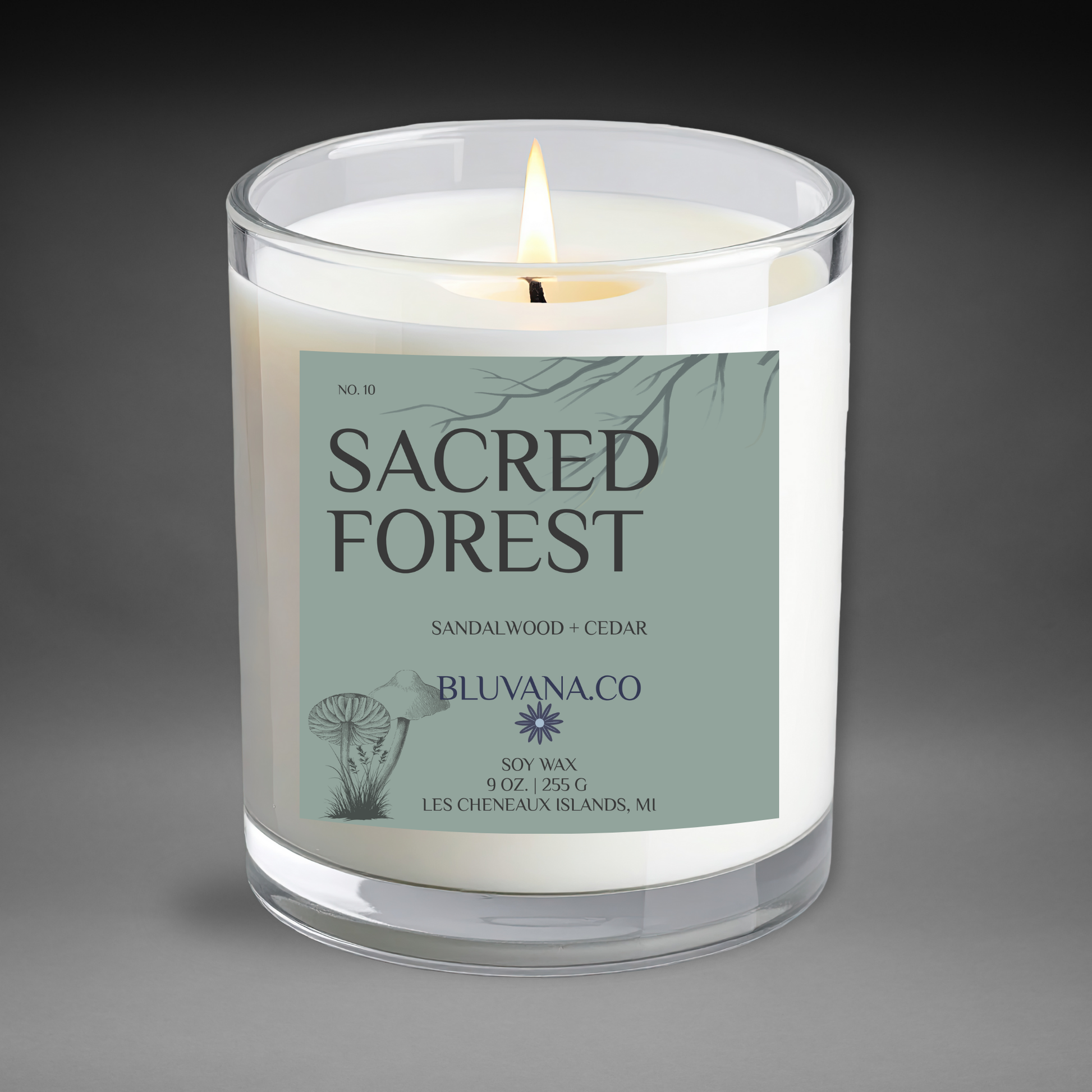 Candle in a glass jar with a label reading 'Sacred Forest' by Bluvana Co.