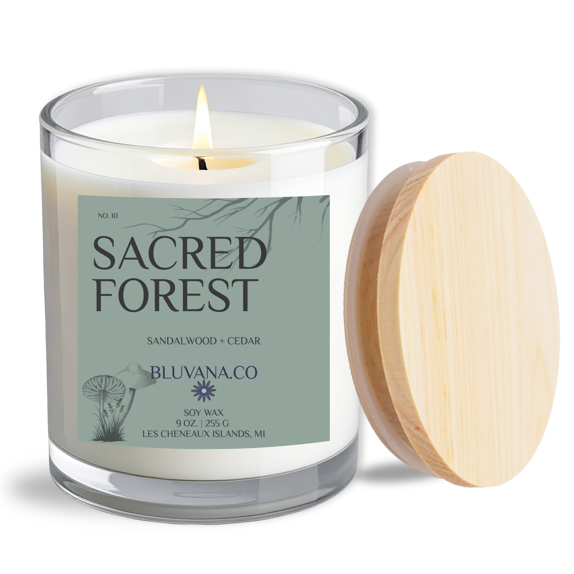 Candle in a glass jar with a wooden lid, featuring 'Sacred Forest' on a label.